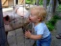 love-those-pigs.jpg
